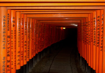 Japan - Kyoto - Fushimi inari toriis