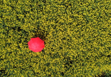 The red umbrella by Robin Hendriks Photography
