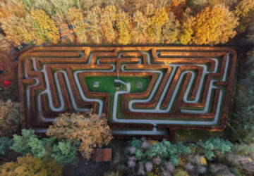 The maze